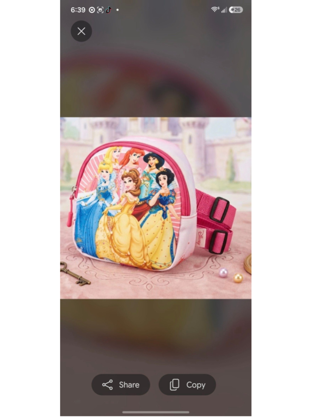 Princess Kid Bag